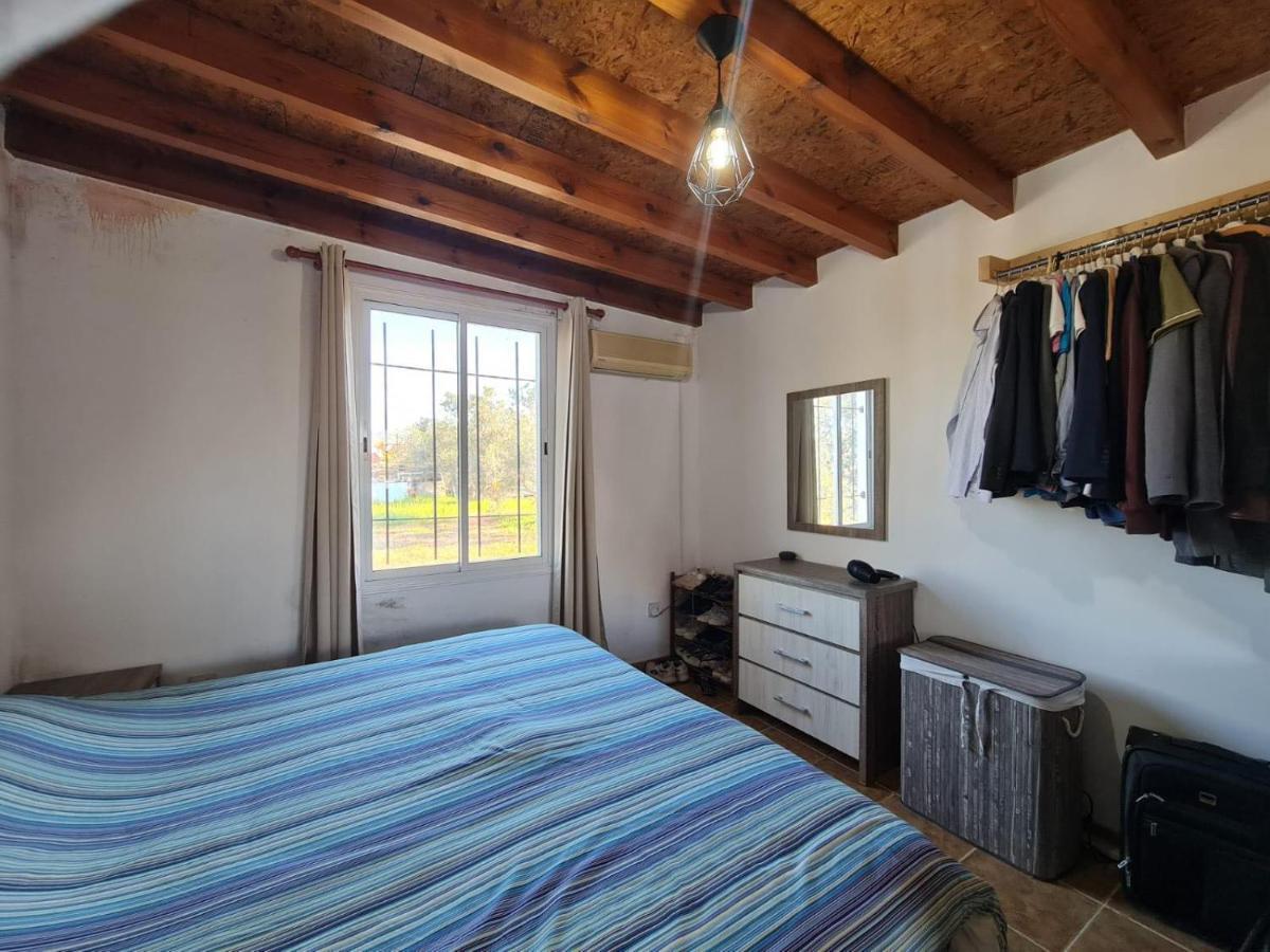 Spacious Studio In Yeroskipou Колони Екстериор снимка