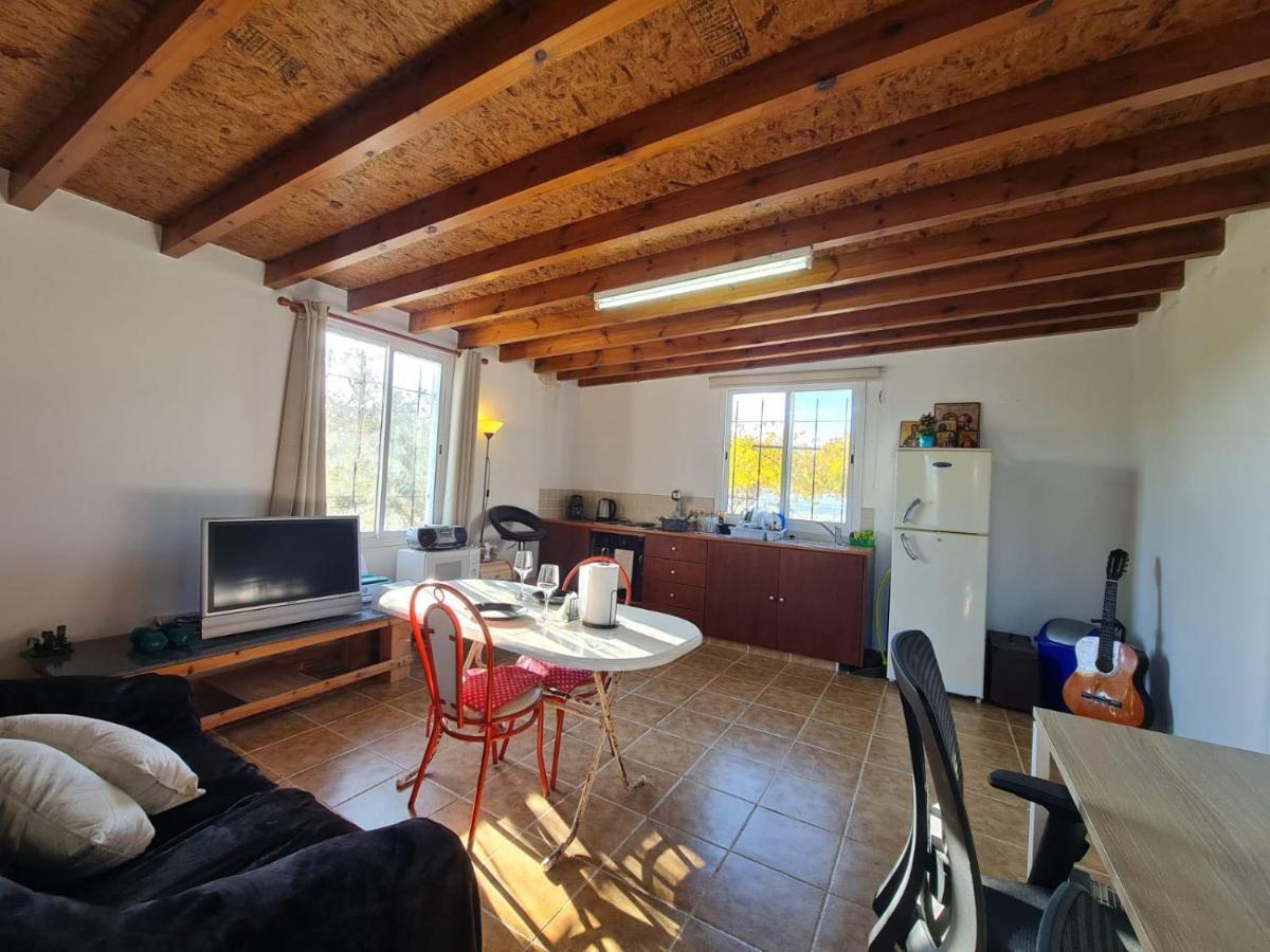 Spacious Studio In Yeroskipou Колони Екстериор снимка