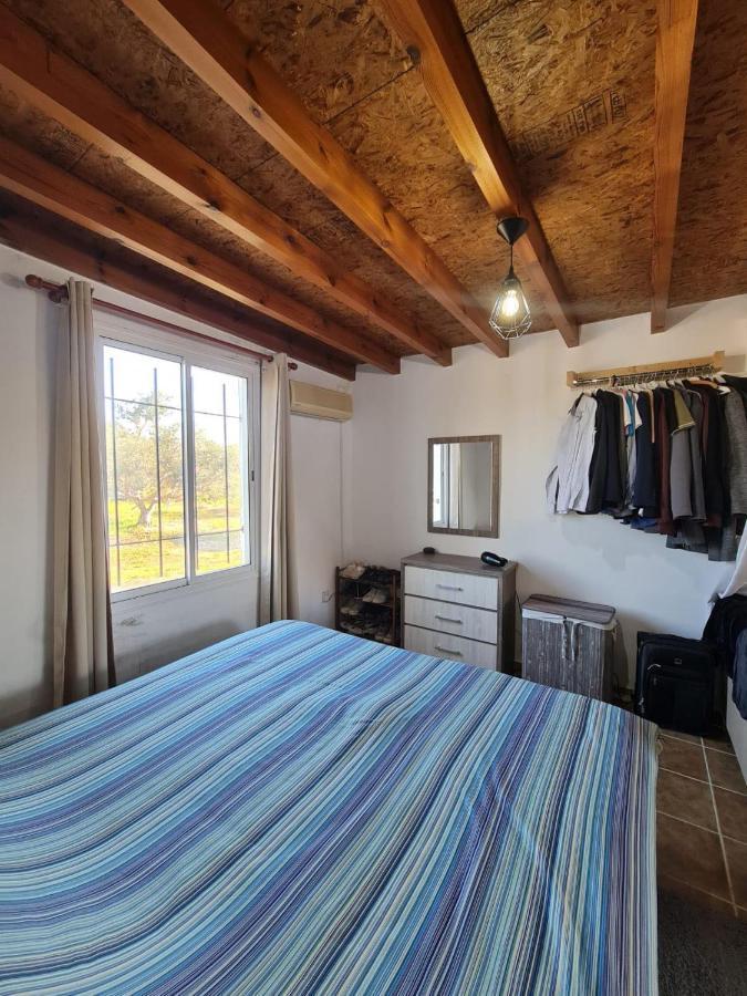 Spacious Studio In Yeroskipou Колони Екстериор снимка